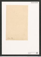 Surirella oblonga Ehr. (de-Toni-Nr.: Genus 53, Species 2258) Zeichnungen Sammlung Grunow (NHMW-BOT-W0372764)
